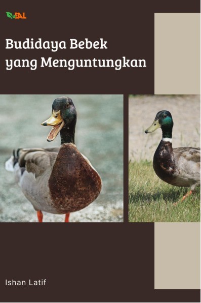 Budidaya Bebek yang Menguntungkan